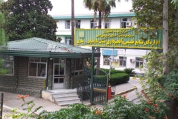 گالری تصاویر
