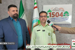 اعضای باند سازمان یافته قاچاق چوب معروف به «برادران دالتون ها» شناسایی، دستگیر و روانه زندان شدند