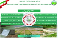 اینفوگرافیک