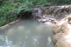 جنگل های هیرکانی