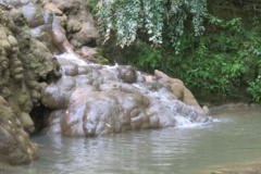 جنگل های هیرکانی