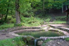 گالری تصاویر