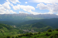 گالری تصاویر