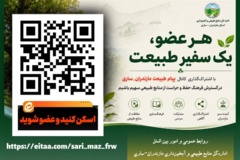 اینفوگرافیک