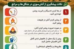 اینفوگرافیک