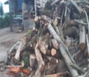 کشف ۱۲ تن چوب قاچاق در آمل