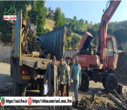 ضرب‌شست منابع طبیعی مازندران به قاچاقچیان چوب در نکا