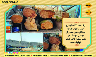 کشف و ضبط چوب آلات قاچاق جنگلی در شهرستان قائمشهر