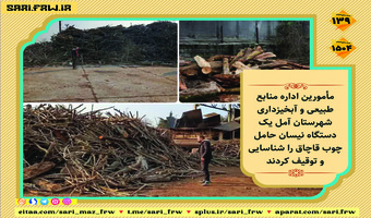 کشف چوب قاچاق در آمل 