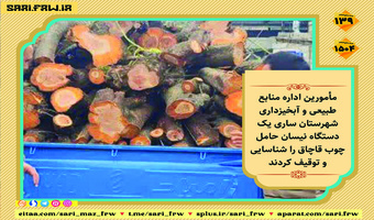 کشف و ضبط چوب آلات قاچاق جنگلی در شهرستان ساری