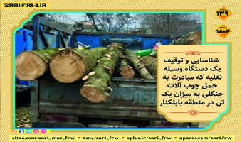 کشف چوب آلات جنگلی در منطقه بابلکنار شهرستان بابل