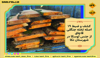 کشف و ضبط چوب آلات قاچاق جنگلی در شهرستان نکا