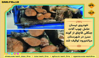 کشف و ضبط چوب قاچاق در شهرستان میاندورود