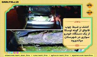 کشف و ضبط چوب آلات قاچاق جنگلی در شهرستان میاندورود