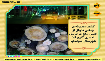 کشف و ضبط چوب آلات قاچاق جنگلی در شهرستان سوادکوه 