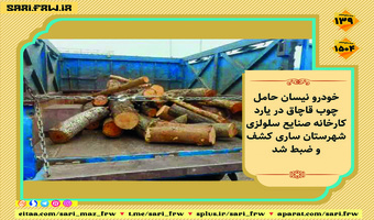 کشف و ضبط چوب آلات قاچاق جنگلی در شهرستان ساری