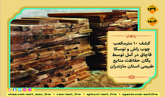 کشف ۱۰ مترمکعب چوب راش و توسکا قاچاق در آمل