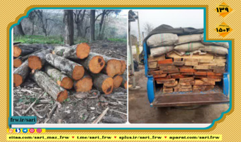 توقیف چهار دستگاه خودر و شناسایی انبار مخفی چوب آلات جنگلی قاچاق در شهرستان آمل