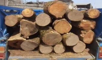 کشف چوب قاچاق در آمل