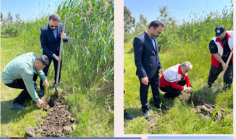 اجرای مراسم نهال کاری بمناسبت زمین پاک در پایین زرین کلا شهرستان جویبار