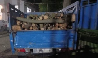 توقیف و اعمال قانون  نیسان حامل چوب آلات جنگلی در منطقه بندپی غربی شهرستان بابل