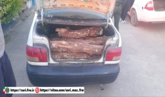 توقیف خودرو پراید حامل چوب قاچاق در ساری