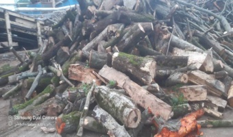 کشف ۱۲ تن چوب قاچاق در آمل