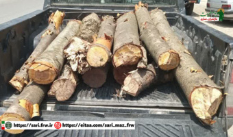 کشف و ضبط محمولات غیرمجاز جنگلی در خلیل شهر
