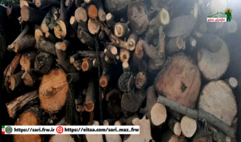 توقیف خاور حامل چوب قاچاق در ساری