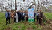 برگزاری مراسم درختکاری در روز بزرگداشت شهدا در اداره کل منابع طبیعی و آبخیزداری مازندران- ساری