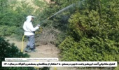 کنترل میکانیکی آفات و بیماری های گیاهی  در جنگلهای مازندران