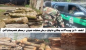 عملیات ضربتی فرماندهی یگان حفاظت در سطح شهرستان آمل