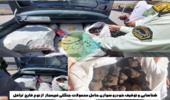 شناسایی و توقیف خودروی سواری حامل محموله غیرمجاز جنگلی از نوع قارچ ترافل
