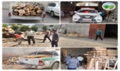 مانور مشترک پلیس و منابع طبیعی/ کشف چوب آلات قاچاق از کارگاه‌های چوب‌بری آمل