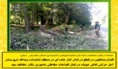 اقدام متخلفین در قطع درختان کنار جاده ای در منطقه امامزاده عبدالله شهرستان آمل حرکتی تلافی جویانه در قبال اقدامات حفاظتی مامورین یگان حفاظت بود
