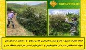 کنترل آفات و بیماری های 1050 هکتاز از جنگل های حوزه اداره کل ساری