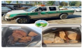  توقیف دو دستگاه پژو حامل چوب جنگلی قاچاق در آمل/ خسارت عمدی قاچاقچیان چوب به خودروی سازمانی منابع طبیعی 