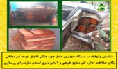 توقیف سه دستگاه خودرو حامل چوب قاچاق در شهرستان آمل 