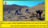 افزایش کپه کاری و احیا و توسعه رویشگاههای گیاهان دارویی در مراتع حوزه اداره کل منابع طبیعی و آبخیزداری مازندران-ساری