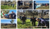 غرس نهال در شهرستان نکا