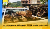 کشف مقدار ۳ استر  هیزم از  دو کوره ذغال در شهرستان نکا 