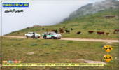 کنترل و مدیریت چرای دام در مرتع کلاکوه آمل