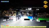 کشف و ضبط چوب آلات قاچاق جنگلی در شهرستان آمل