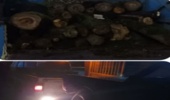 کشف چوب آلات جنگلی در منطقه بندپی غربی شهرستان بابل