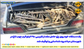 کشف و ضبط چوب تاغ در شهرستان میاندورود