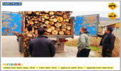 کشف و ضبط چوب آلات قاچاق جنگلی در شهرستان ساری