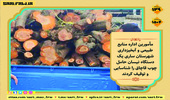 کشف و ضبط چوب آلات قاچاق جنگلی در شهرستان ساری