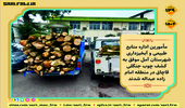  کشف و توقیف چوب جنگلی قاچاق در آمل