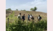 اجرای حکم قضایی و آزادسازی اراضی ملی از ید متصرفین  در روستای خرم چماز نکا