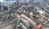 کشف ۱۲ تن چوب قاچاق در آمل